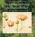 Le jardin enchanté de maria hoffker