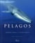 Pelagos - voyage naturaliste au large de la Méditerranée