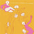 Clap Your Hands Say Yeah - Deluxe