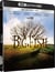 Big Fish