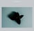 Death rattle - CD