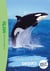 The wild immersion Tome 19 : Expédition au pays des orques