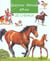 Chevaux et poneys