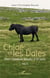 Chloé et les Dales : Des chevaux élevés à la voix