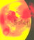 Soleil
