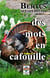 Des mots en cafouille t.2