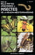 Guide des mille-pattes, arachnides et insectes de la region méditerranéenne