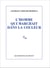 L'homme qui marchait dans la couleur