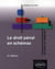 Le droit penal en schemas. 2e edition