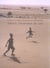 Sahara, l'économie du rien
