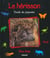 Le herisson - boule de piquants
