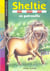 Sheltie Tome 16 : Sheltie en patrouille