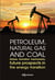 Petroleum, natural gas and coal - nature, formation mechanisms, future prospects in the energy trans