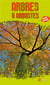 Arbres Et Arbustes