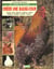 Creer une basse-cour : poules, oies, canards, pigeons, lapins, dindons