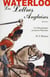 Waterloo - les lettres anglaises