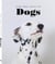 FOR THE LOVE OF DOGS