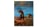 Paleoart. Visions of the Prehistoric Past (GB)