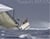 Nautor s swan