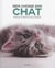 Bien Choisir Son Chat