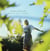 When We Were Looking - édition colorée