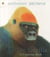 One gorilla - a counting book