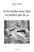Et les étoiles entre elles ne parlent que de ça