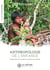 Anthropologie de l'enfance : Perspectives sur la place et le statut des enfants