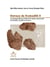 Ostraca de Krokodilô II - la correspondance privée et les réseaux personnels de Philoklès, Apollôs et Ischyras