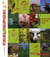 Fermes et campagne