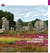 The Carnac alignements