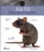 Rats d'appartement