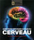 Questions-réponses autour du cerveau - les toutes dernières découvertes