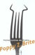 Petite cuisine du diable