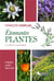 Étonnantes plantes - à cultiver vous-même - cuisine, santé, bien-être