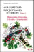 Coleopteres phytophages d'europe  t.1 (EDITION 2017)