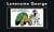 Lonesome george