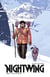 Nightwing Tome 7 : La chute de Grayson