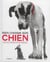 Bien Choisir Son Chien