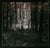 And The Forests Dream Eternally
