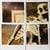 Ancient cares - Pig pen blues - Stinkeye