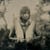 Ballad of boogie christ - CD