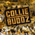 Collie buddz