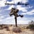 Le cactus - CD