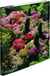 Les jardins anglais