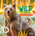 Wild : la vie sauvage - incroyables animaux de France