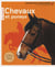 Chevaux et poneys - avec un site internet exclusif et plus de 100 liens selectionnes