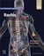 Imagerie médicale : Rachis