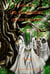 Les six druides et les six épreuves Tome 1