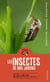 En balade : Les insectes de nos jardins
